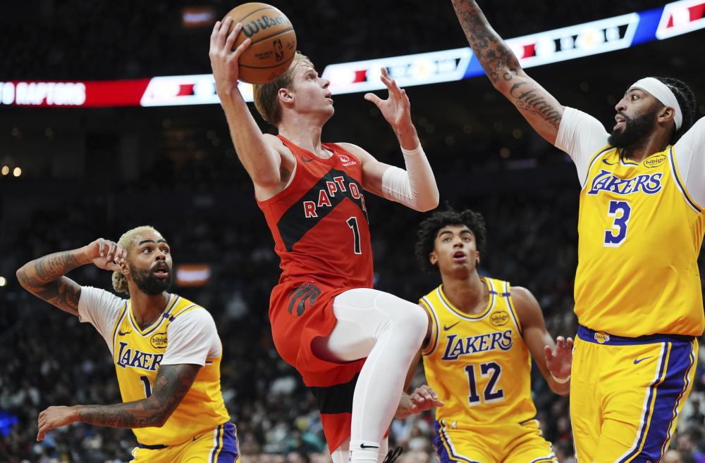 也预示了这 也预示了这