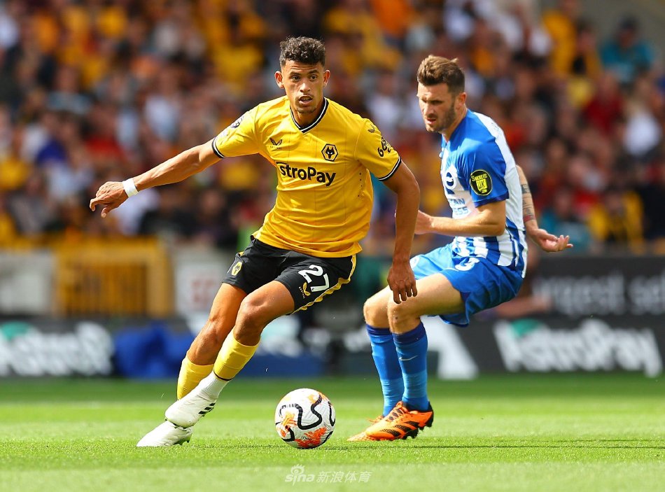 切尔西只能 切尔西只能